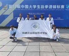 跆拳道锦标赛焦点战：天山天狼队强势反弹南城白虎队，客场强势带走胜利。边后卫成为亮点的简单介绍